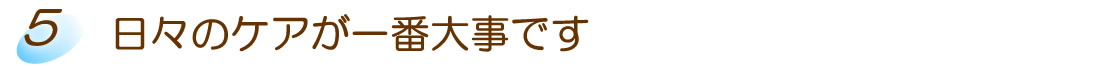 日々のケアが一番大事です