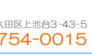 〒145-0064 東京都大田区上池台3-43-5　TEL:03-5754-0015